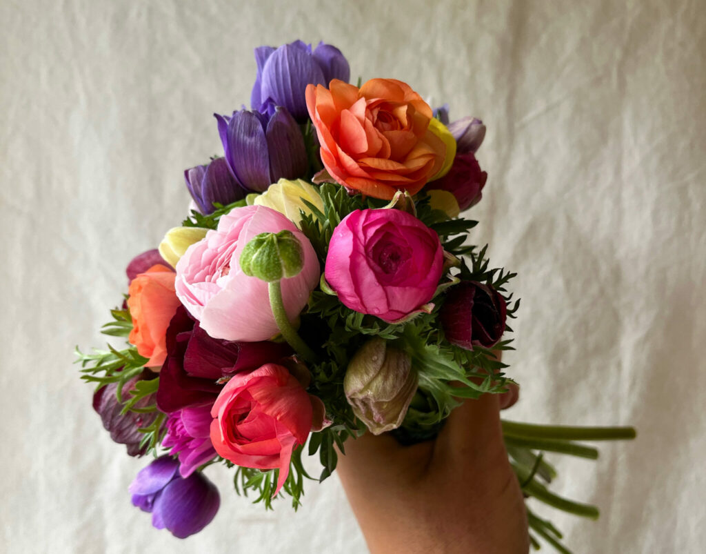 A spring posy of anemones and ranunculus by Susie Ross of Wivenhoe Flowers
