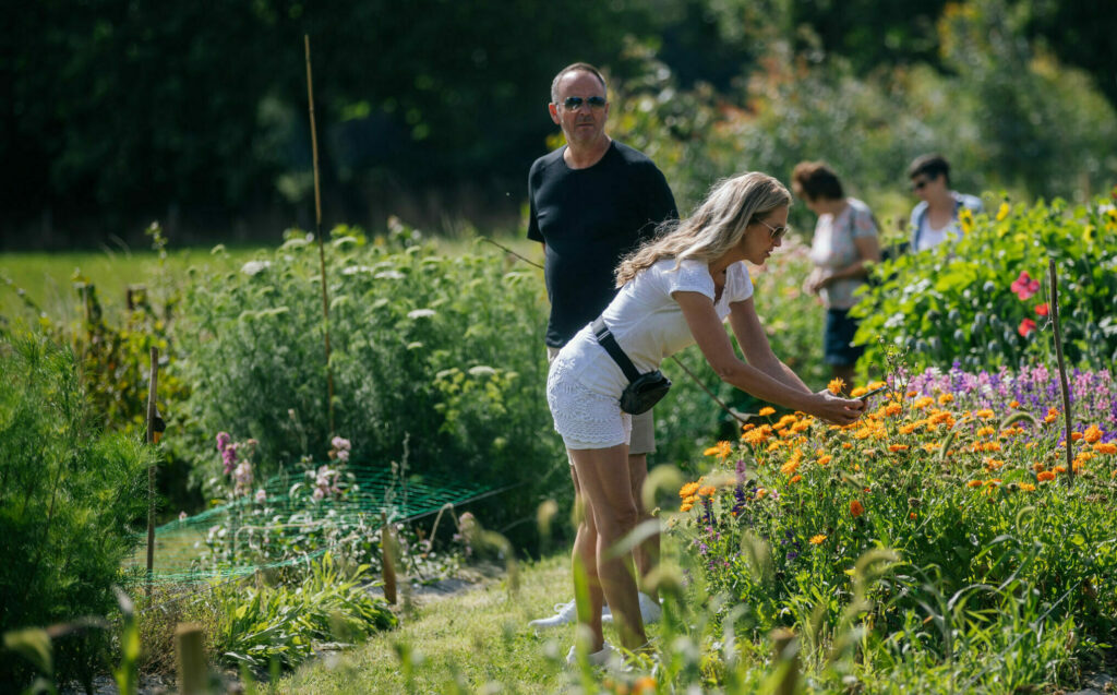 Visitors on a UK glower farm in August 2022 as part of Flowers from the Farm's Big Weekend open flower farm event. Returns September 2023!