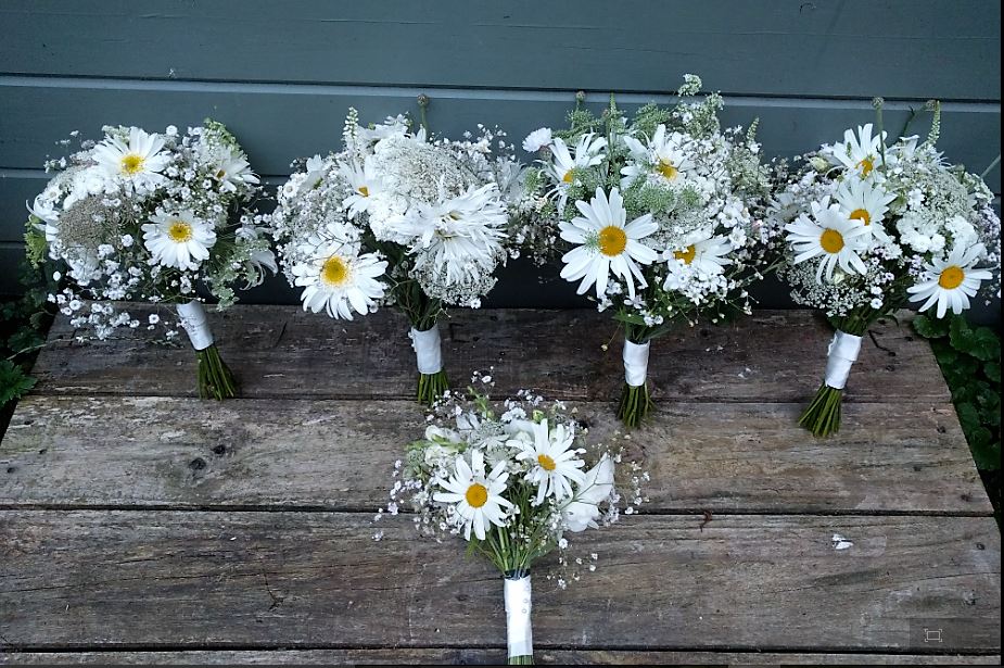 White wedding flowers all lined up on a wooden table. Camomile and Cornflowers