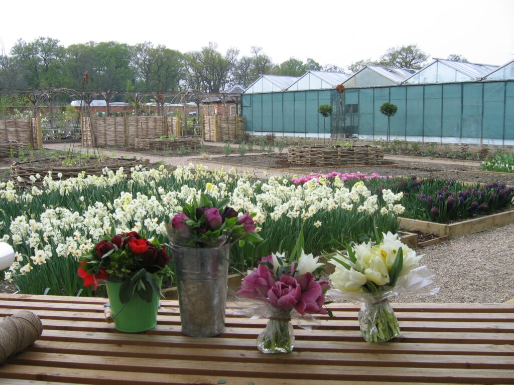 At Catkin, Rachel started out by supplying posies and bouquets to local customers - here spring posies of tulips, narcissi and anemones await delivery.