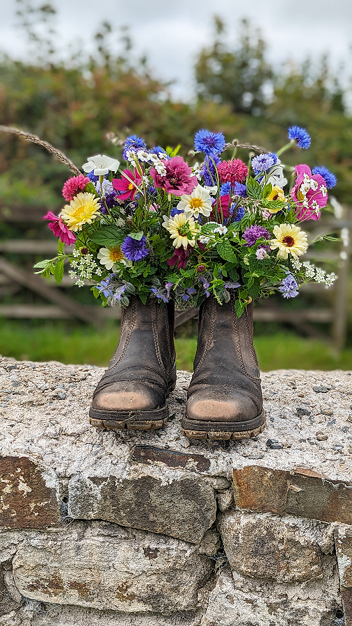 A pair of well worn boots filled with colourful pink, yellow and blue flowers stand on a weathered stone wall in the welsh countryside.