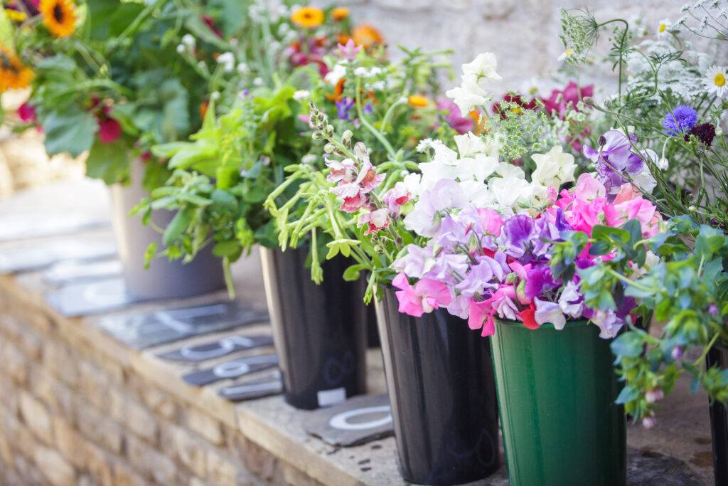 Buckets of cut flowers at Cotswold Country Flowers