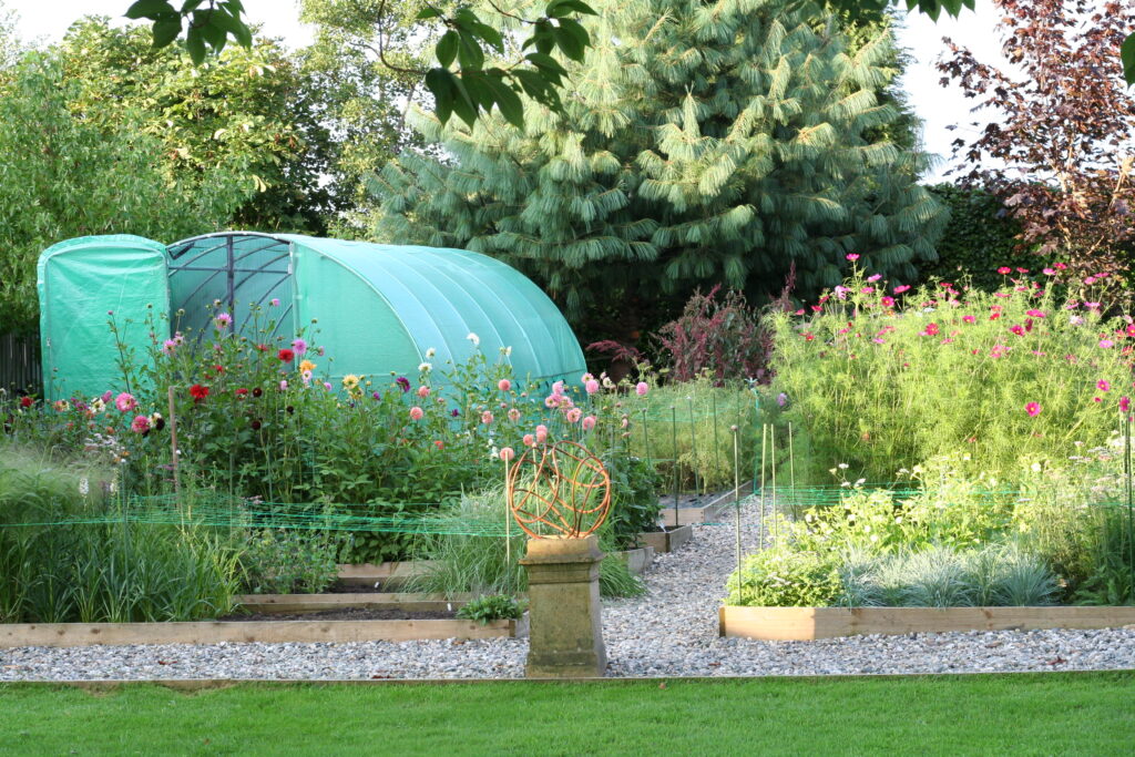 The Henthorn Farm cut flower patch in summer. Against a backdrop of mature trees, Kirsten's polytunnel nestles in the corner of the plot, with a series of raised beds, bursting with summer flowers surrounding it in the foreground.