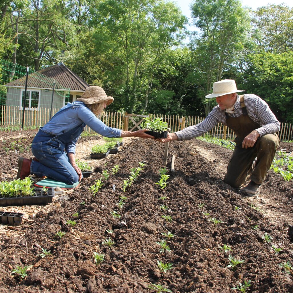 Tim and Eileen in planting mode at Tin Shed Flower Farm