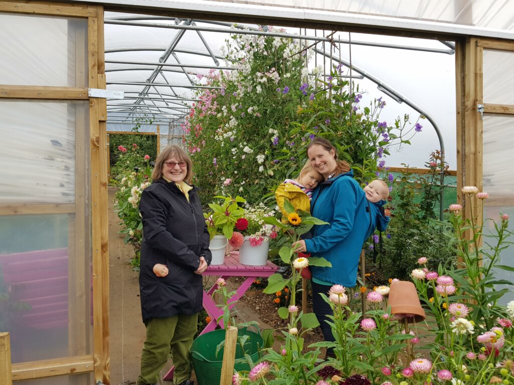 Pick your own day visitors in the Northumbrian Flowers poly tunnel.