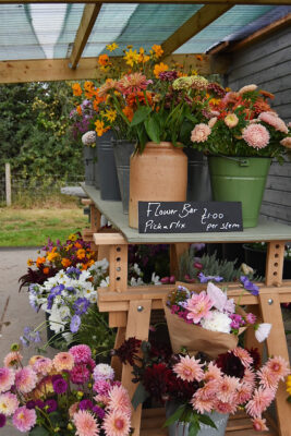Buckets bursting with blooms await at this pick and mix flower bar at Organic Blooms.