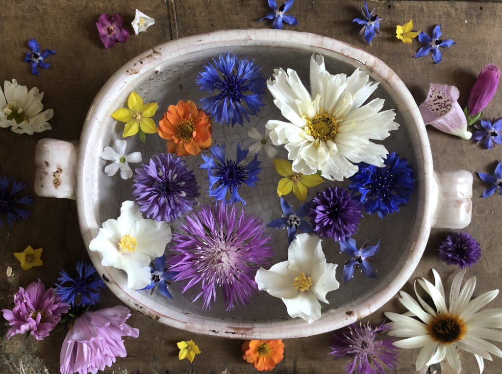 An old tureen filled with floating cut flowers in late spring by Queen of the Meadow: philadelphus, early white cosmos daisies, dog daisies, blue borage and cornflowers, yellow loosestrife and orange geums.