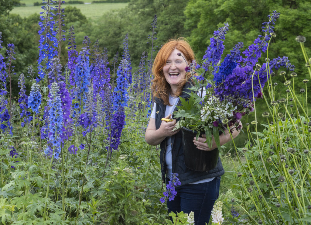 Pam of Quirky flowers stands in her flower field surrounded by tall blue spires of delpiniums in the Staffordshire landscape. She's holding a bucket of cut flowers as she laughs with the photographer. Photo: Nicola Stocken.