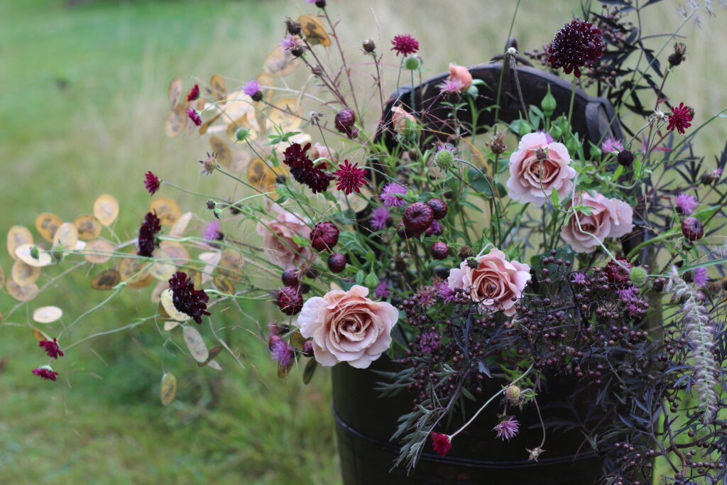 A moody toned bucket of British cut flowers at Ravensill Flower Farm holds subtle mocha roses, dark scabious and black elder leaves, the rustling seed pods of honesty and fluffy accents of grass.