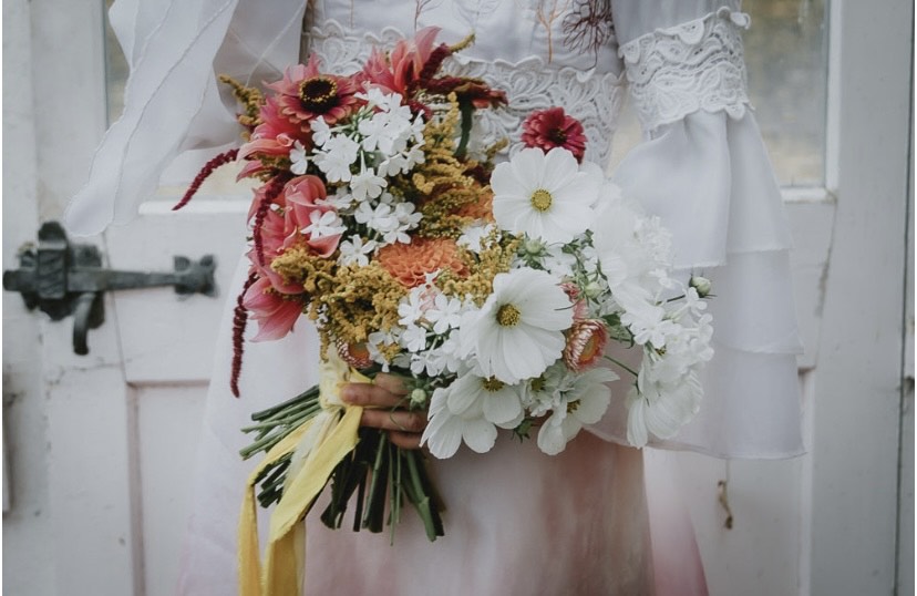 A summer wedding bouquet with cosmos dahlias and pops of coral and orange, tied with a silk ribbon. The Native Florist.