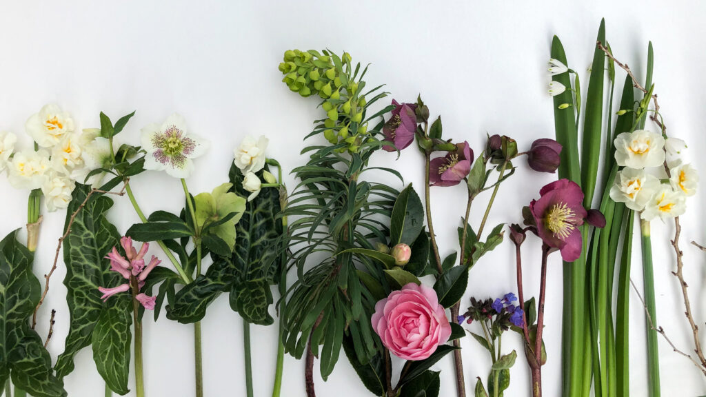 A spring flat lay of British cut flowers by The Sussex Gardener.