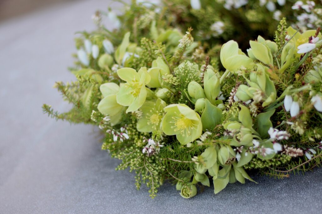A green funeral wreath with textures providied by pale green hellebore flowers, snowdrps and Cornish white heather. Tuckshop Flowers.