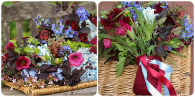 Claret and blue coloured flowers include hydrangeas, malope, dark dahlias and physocarpus foliage as part of this West Ham inspired funeral sheaf.