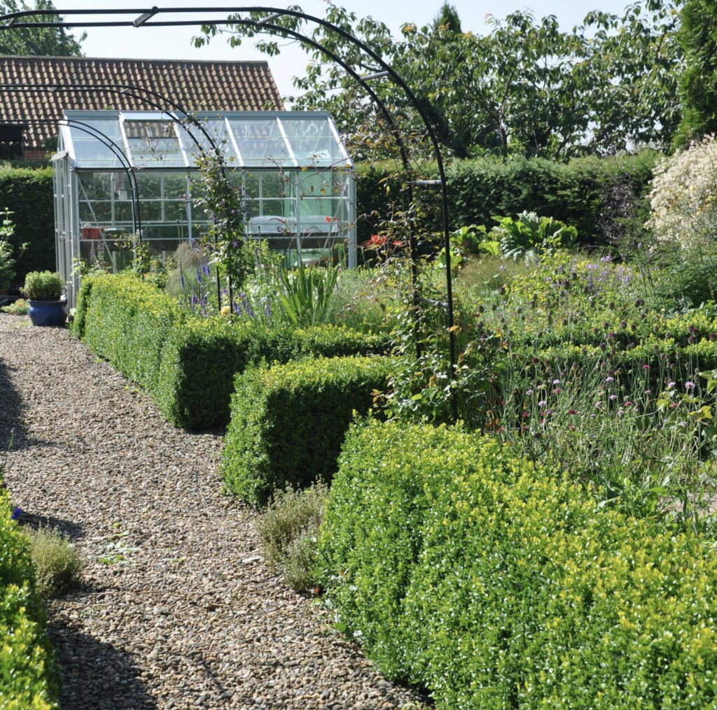 Fieldhouse Flowers parterre style garden with box hedging before it was razed by the digger!