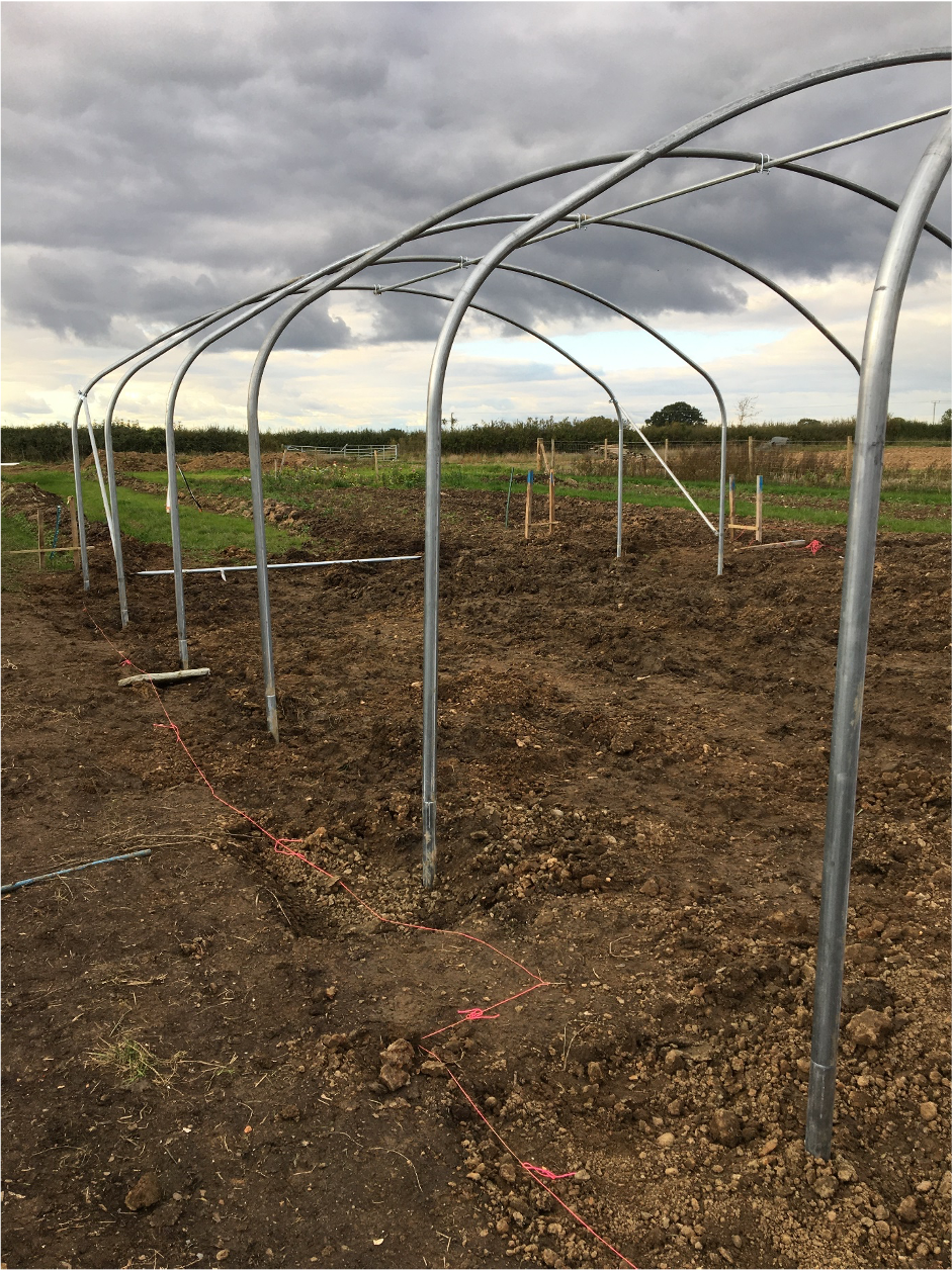 Pembridge Farm has invested in a polytunnel to extend its locally grown flower season