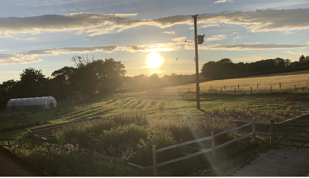 The sun sets over Yalham Hayes From Farm in Somerset. Nestled beneath the tree line, the light glints off the polytunnel used for raising British grown cut flowers. In the foreground, the fenced growing area with raised beds is full of tall flowers which are silhouetted in the low light.