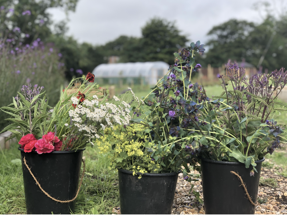 The buckets brimming with cut flowers stand in the field at Yalham Hayes Flower Farm. Seasonal blooms such as purpley coloured cerinthe, pink roses and burnt orange rudbeckias are produced in abundance.